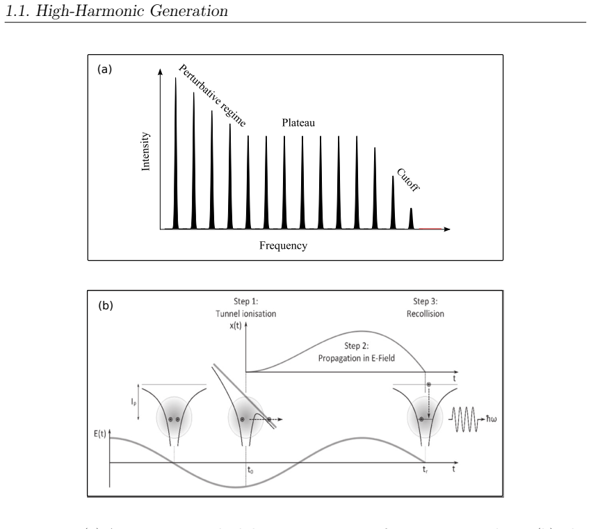 Figure 1.1