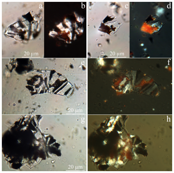 Figure 7