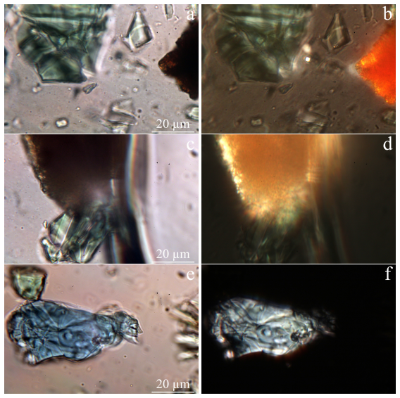 Figure 10