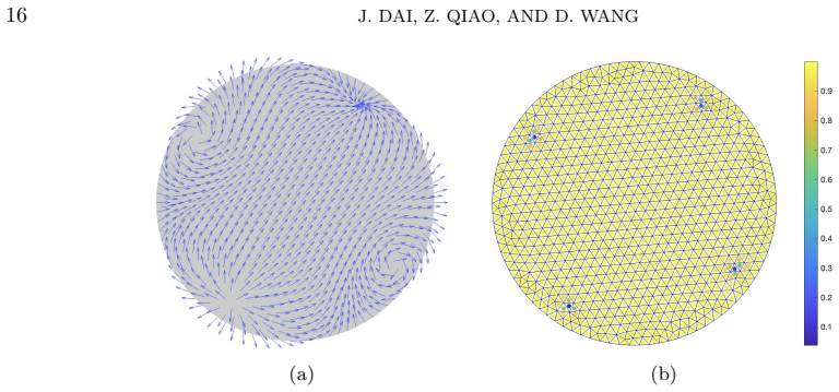 Figure 9