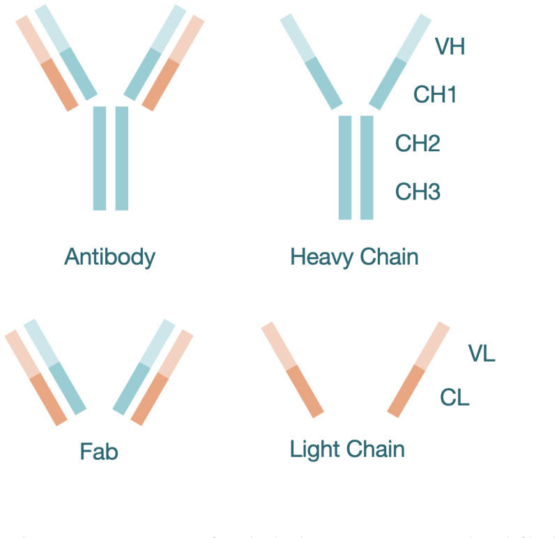 Figure 2.1