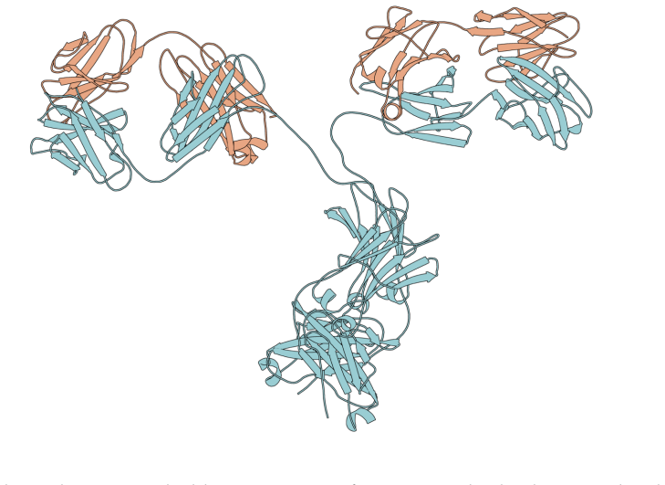 Figure 2.2