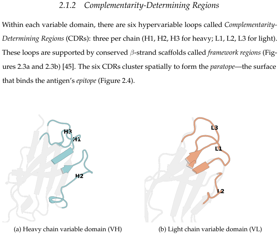 Figure 2.3