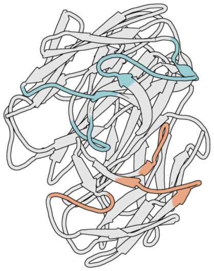 Figure 2.4