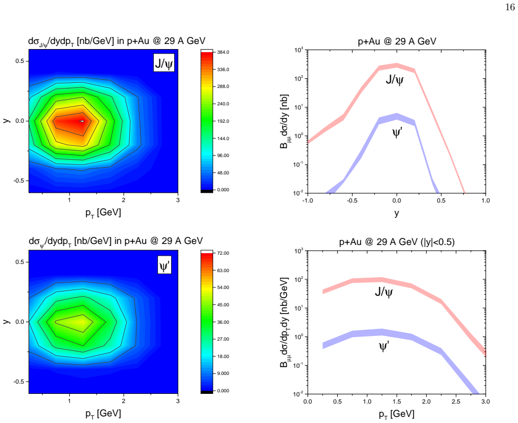 Figure 19