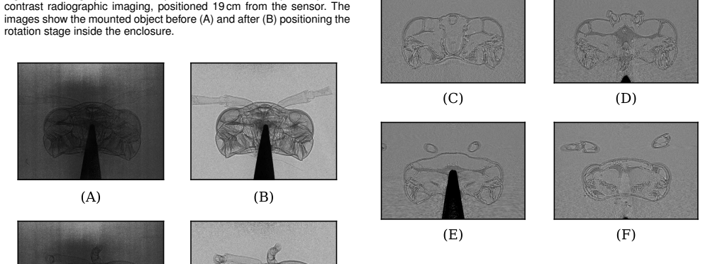 Figure 11