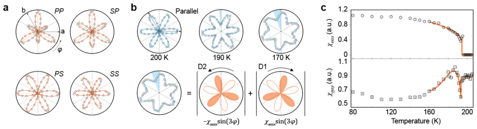 Figure 19