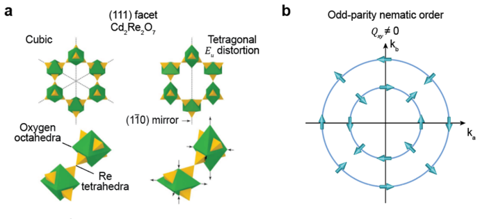 Figure 21