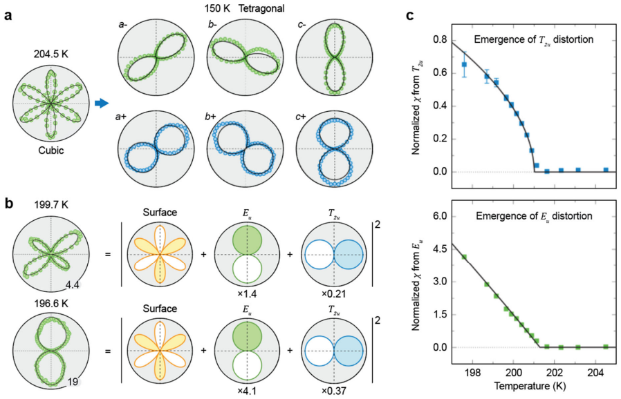 Figure 22