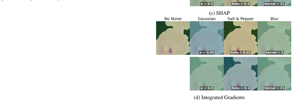 Figure 19