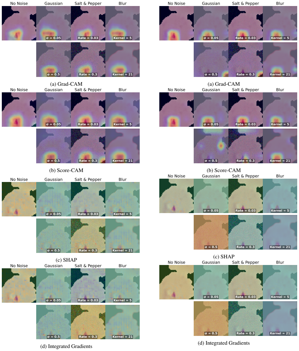 Figure 21