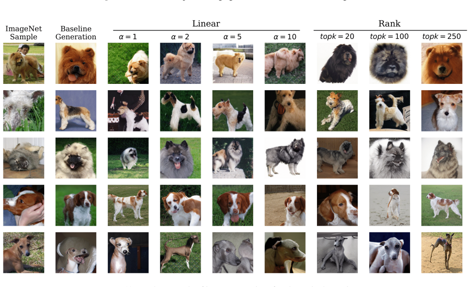 Figure 19
