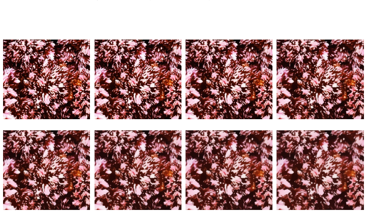 Figure 18