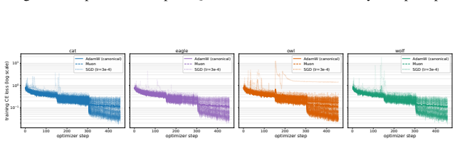 Figure 19