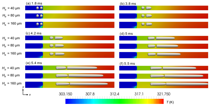 Figure 17