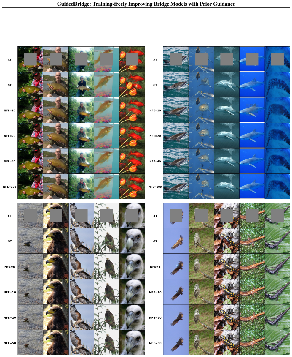 Figure 20