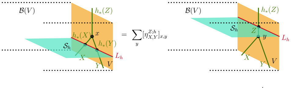Figure 31