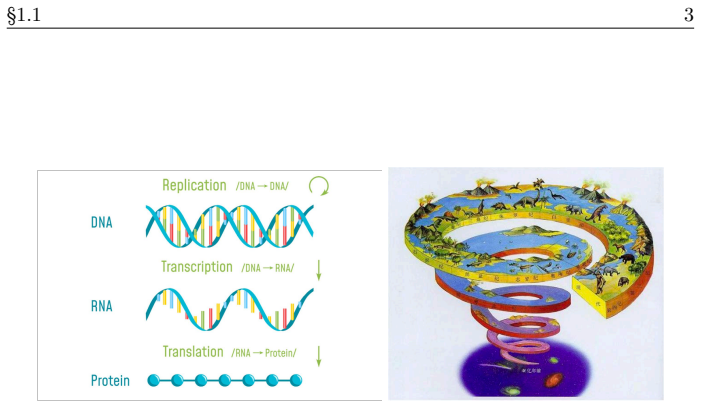 Figure 1.1
