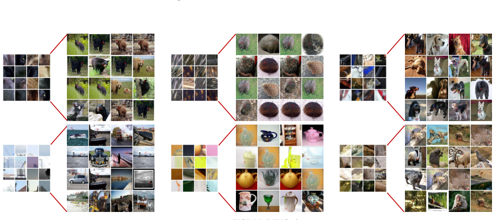 Figure 20