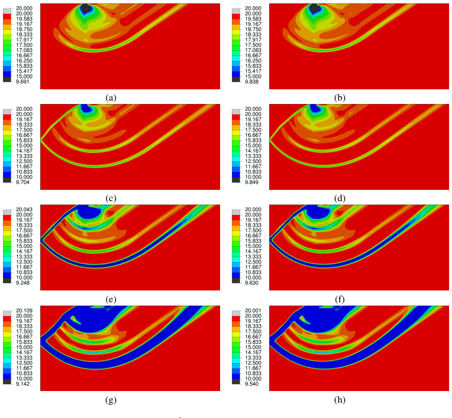 Figure 13