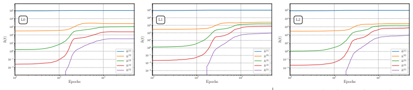 Figure 20