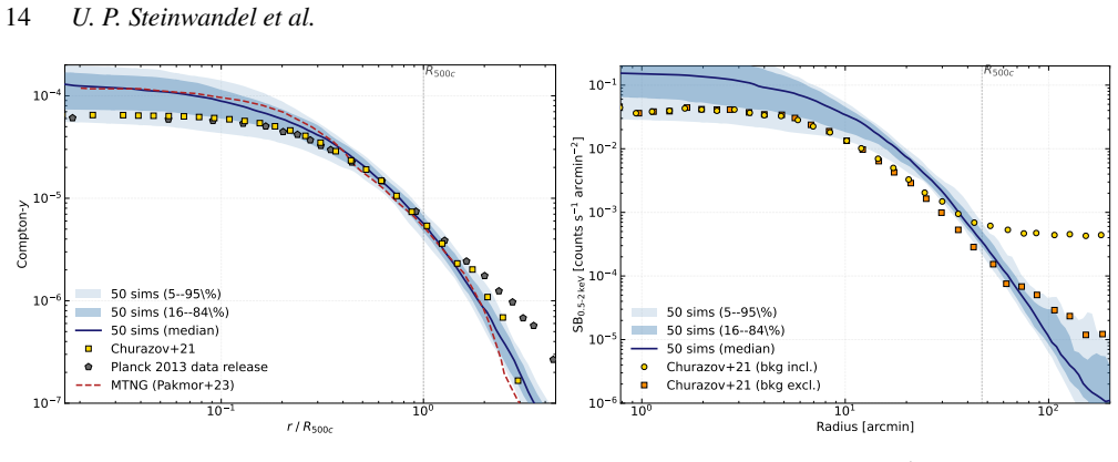 Figure 11