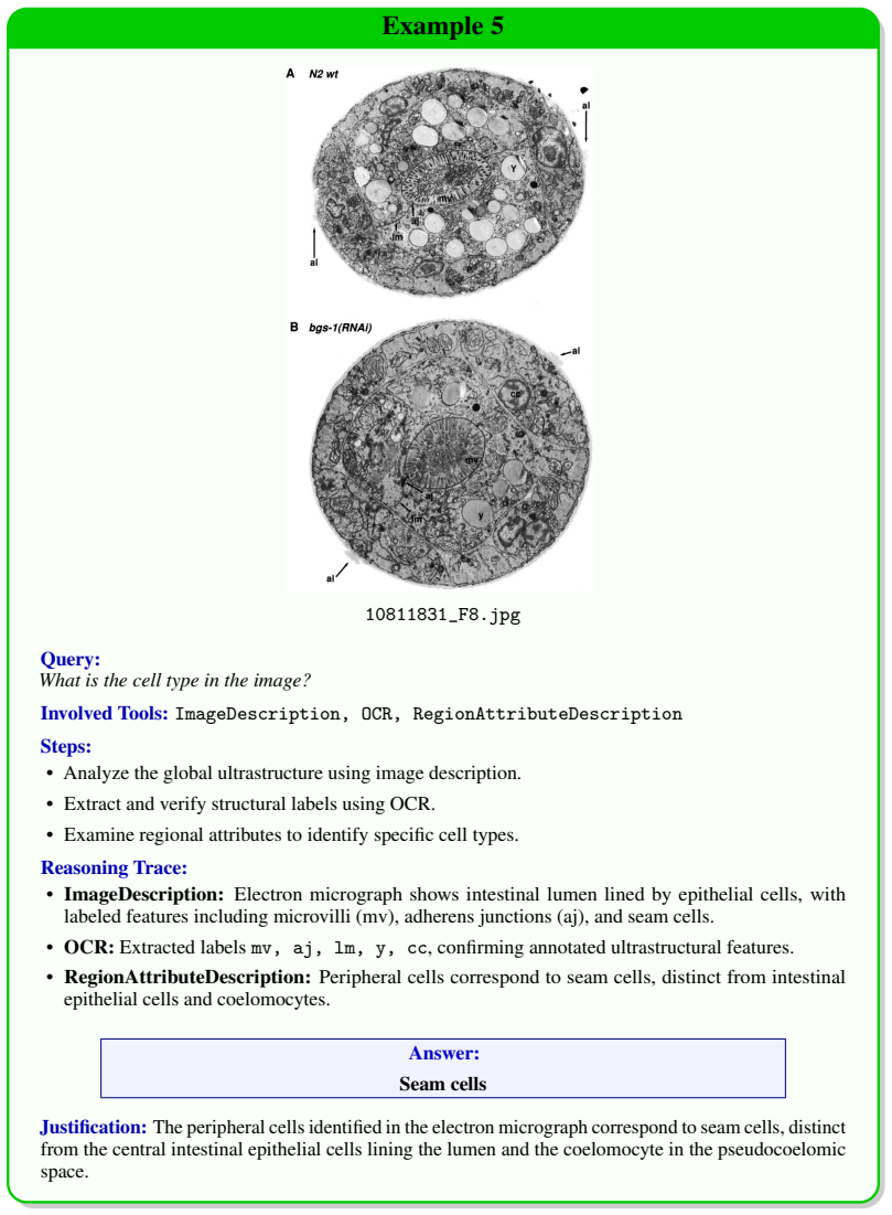 Figure 21