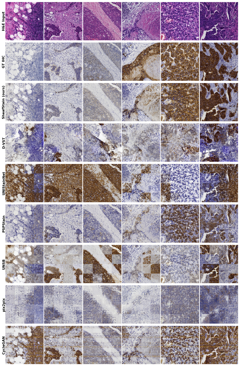 Figure 11