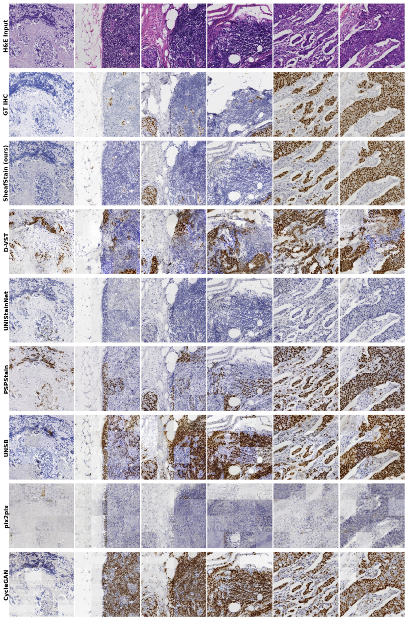 Figure 12