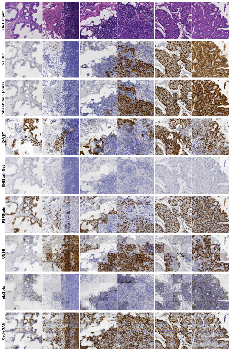 Figure 13