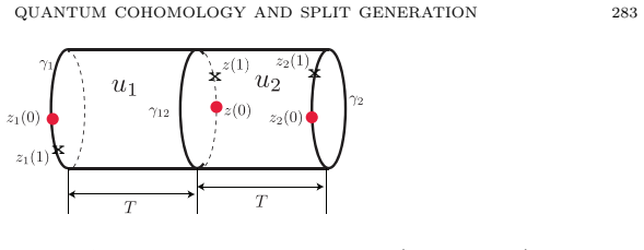 Figure 79