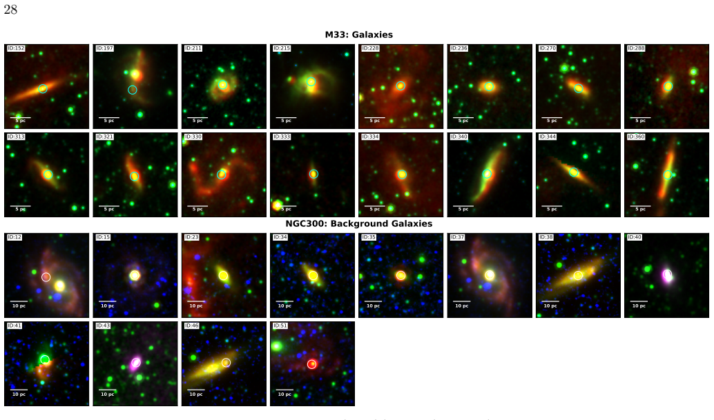 Figure 19