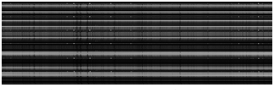 Figure 19