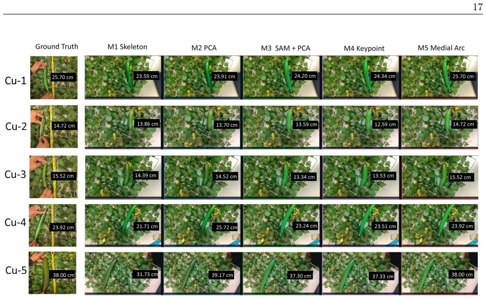 Figure 15