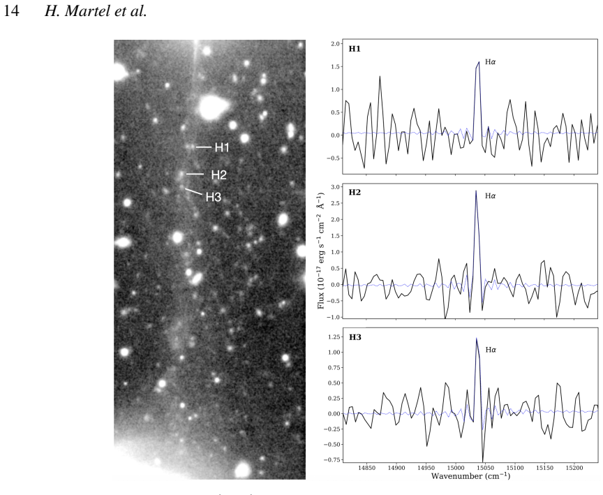 Figure 21