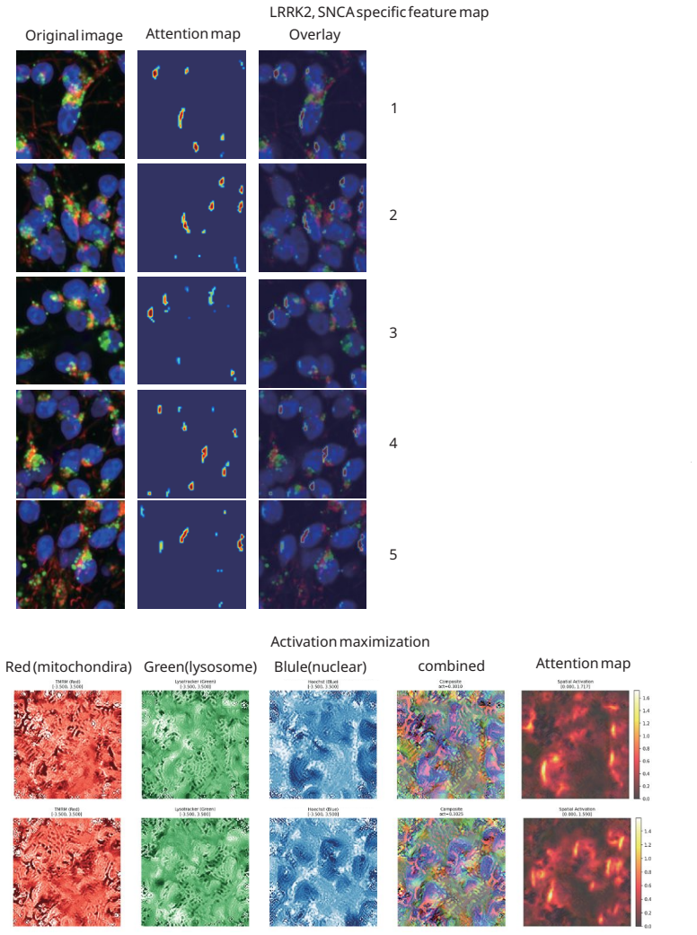 Figure 20