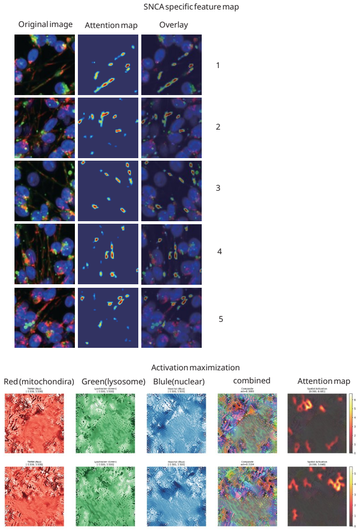 Figure 21