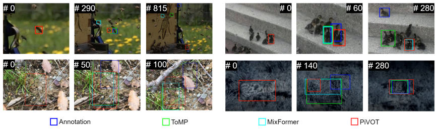 Figure 3.5