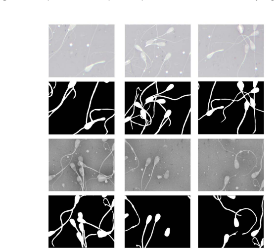 Figure 11